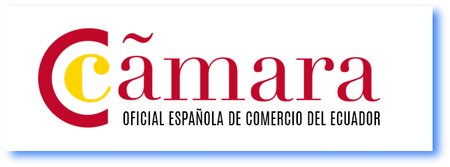 Cliente 3
